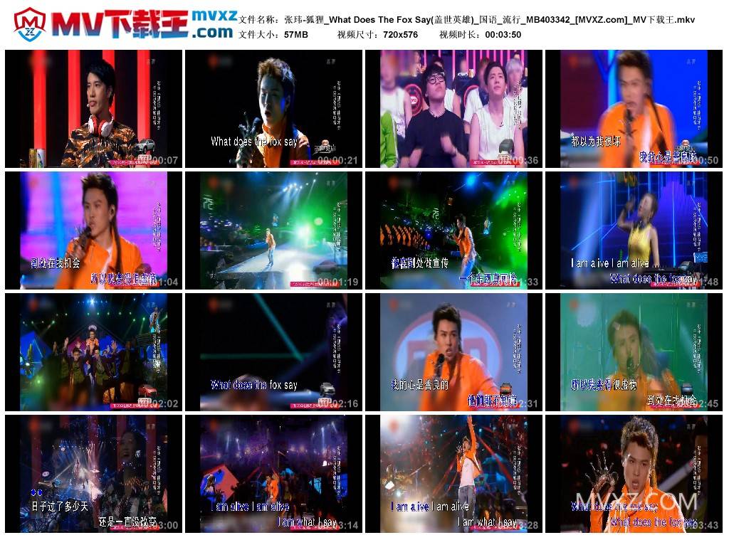 张玮-狐狸_What Does The Fox Say(盖世英雄)_国语_流行_MB403342